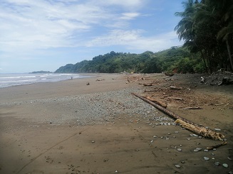 Beachfront in Torio, Mariato, Panamá